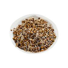 Horse gram Sprouts