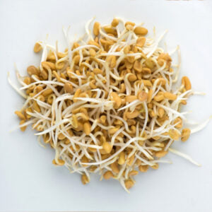 Black-Eyed Peas Sprouts